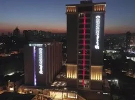 Summit Hotel Monaco，位于瓜鲁柳斯的宠物友好酒店