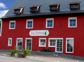 Apartmenthaus "Zum Birnbaum"，位于Roßtal的酒店