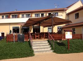 Apartmány, Penzion, Wellness U zlaté rybky，位于维什科夫的酒店