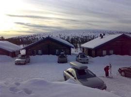 Ski-in ski-out Sälen Högfjället 4-6 bäddar，位于萨伦的乡村别墅