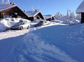 Ski-in ski-out Sälen Högfjället 4-6 bäddar，位于萨伦的酒店