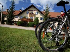 Hotel**Pieniny，位于Niedzica的酒店