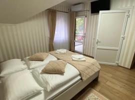 VitAr，位于Tereblya的酒店