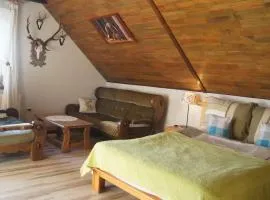 Leśny Domek Męcikał