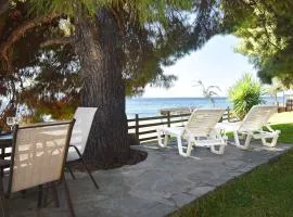 Barlee Beach Front House, Metamorfosi