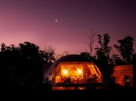 Domescapes in the Vines