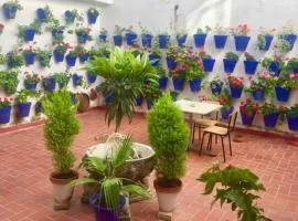 Apartamento Toril-Casco Histórico