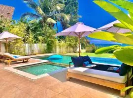 Premium Beachfront Villa Serenity