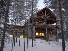 Log Villa Tietotunturi，位于普哈圣山的木屋