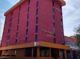 Hotel Flamingos，位于瓜达拉哈拉唐米格尔伊达尔戈国际机场 - GDL附近的酒店