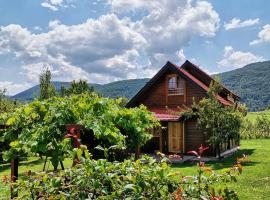 BRVNARE STOJIĆ，位于Kokin Brod的酒店