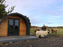 Glampods Glamping Pod - meet Highland Cows and Sheep Elgin，位于埃尔金的酒店