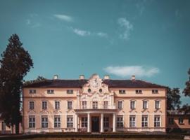 Hugo Yorck Palace，位于Witaszyce的酒店