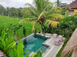 Dukuh Village Villas & Art，位于德格拉朗的酒店