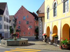 Gasthaus "Hotel Hirschen"，位于Beromünster的酒店