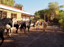 Lodge Atacama Horse，位于圣佩德罗·德·阿塔卡马的家庭/亲子酒店