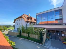 Berggasthof Höchsten，位于Illmensee的酒店