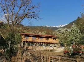 NEUE Ferienwohnungen auf dem Gebreitnerhof, Urlaub auf dem Bauernhof