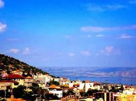 מיאר אירוח דרוזי