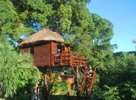 毛里求斯树屋旅馆