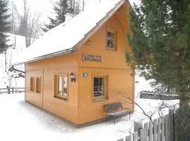 Holiday home in Bad Kleinkirchheim near ski area