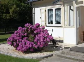 Letnia Oaza "Kalina"