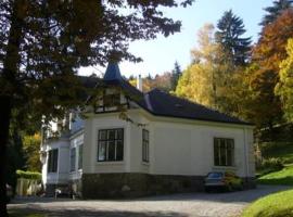 Villa Eisenwerk，位于Wilhelmsburg的公寓