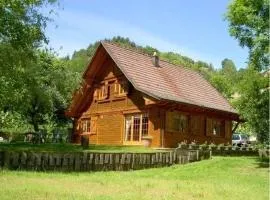 Chalet chaleureux Lalaye, cheminée