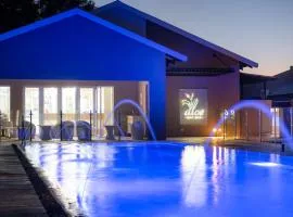 Palm Park Hotel