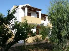 ANAMAMA -SOCRATES studios