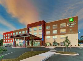 Holiday Inn Express & Suites - Roanoke – Civic Center，位于罗阿诺的酒店