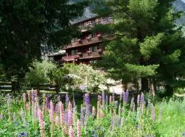Hotel Alpina