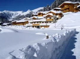 Large chalet apartment in Saalbach Hinterglemm