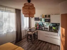 GottwaldHaus - Apartment