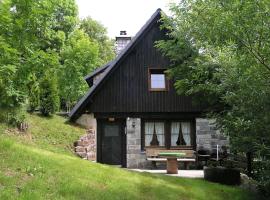 Converted old mill in St Georgen inBlack Forest，位于黑林山区圣格奥尔根Brigach Ski Lift附近的酒店