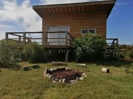 Charrua de Punta colorada