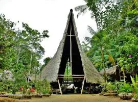 塔尼博查山林小屋