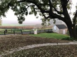 Cider House Bed and Breakfast