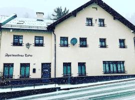 Apartmenthaus Esther，位于Ramingstein的酒店