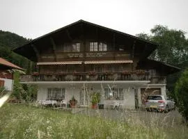 Chalet in Wilderswil with Jungfrau Views