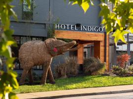 Hotel Indigo Chattanooga - Downtown, an IHG Hotel，位于查塔努加查塔努加河滨步道附近的酒店