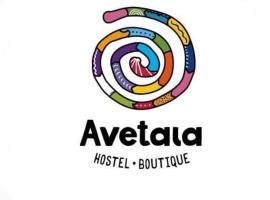 Hostel Avetaia，位于圣罗莎卡拉穆奇塔县的酒店