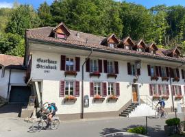 Historic Hotel Steinbock，位于维尔德斯韦尔的酒店