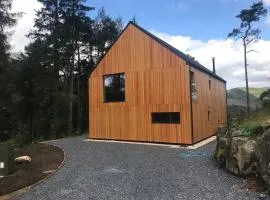 Red Stag with stunning loch and waterfall view