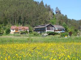 Café-Pension Krems，位于魏申费尔德的酒店