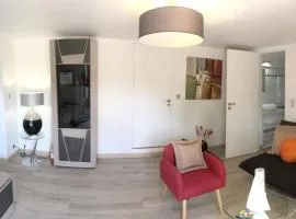 Appartement luxueux a Launaguet avec piscine partagee 55 m²