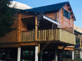 Chalet Bois Laruns