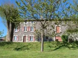 Gîte restauré avec grand terrain clos, salle de jeux, proche du Puy en Velay et Chavaniac-Lafayette - FR-1-582-297
