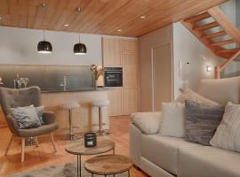 Saplan Real Estate SARRAERA，位于维耶拉的木屋