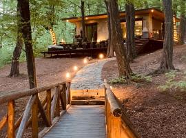 Luxury Lake House & Glamping，位于Teşila的别墅